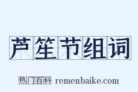 芦笙节组词是什么意思的图片